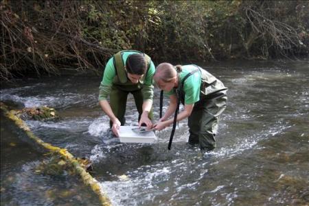 Manos voluntarias, analizan y limpian los ríos de España